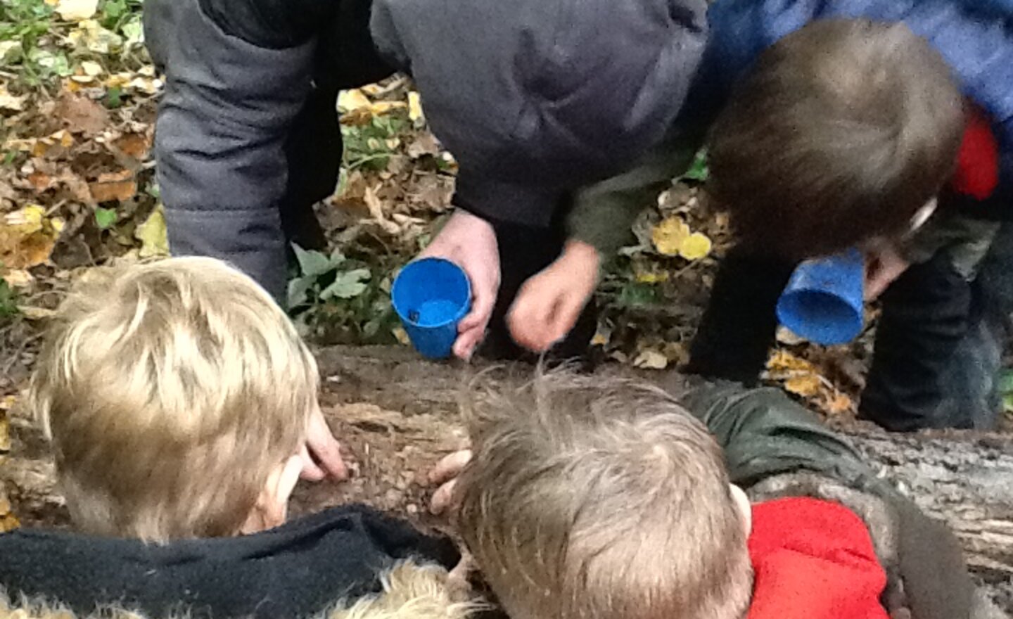 Image of Habitat hunting